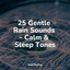 25 Gentle Rain Sounds - Calm & Sleep Tones cover