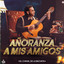 Añoranza A Mis Amigos cover