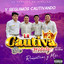 Regresa Amor (En Vivo) cover