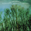Blue Mountain - Skinny Dipping