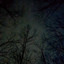 we will meet again (gone and alone)