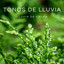 Tonos De Lluvia: Lluvia De Calma cover