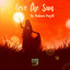 Love The Sun - Radio Edit cover