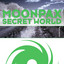 Secret World