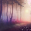 Wmeg - Wmeg Station break COM 18154