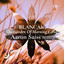 The Garden of Morning Calm - Aaron Suiss Remix
