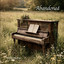 Mike Sands - Abandoned