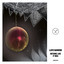 Manoeuvres in The Dark