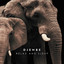 Inhale & Exhale cover