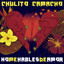No Me Hables de Amor cover