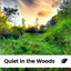 Quiet in the Woods cover