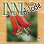 Inni di Lode - Voglio venire a te Signor