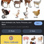 . - IRVINE TACK & WESTERN WEAR - ANIMAL HEALTH