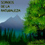 El Canto de las Lechuzas cover
