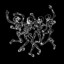 Prodigium