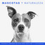 Mascotas Y Naturaleza: Serenos Sonidos De Río Para Gatitos Y Cachorros cover
