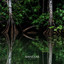 Manglar cover