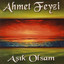 Sen Efendim cover