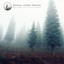 Morning in a Pine Forest