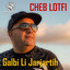 Cheb Lotfi