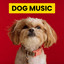 Pets Music Relaxation Piano cover