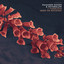 Foxglove (Keep On Rocking)