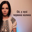 Ой у лузі червона калина (A cappella) cover