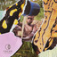 Letters From Lagos