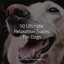 50 Ultimate Relaxation Tracks For Dogs cover