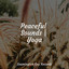 Peaceful Sounds | Yoga cover