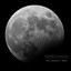 Dreamless Nights cover