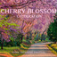 Cherry Blossom Celebration: April Japanese Festival, Picnic under the Cherry Trees cover