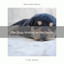 For Dogs Waiting on the Couch cover
