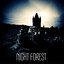 Night Forest cover