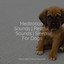 Meditation Sounds | Restful Sounds | Sleep For Dogs cover