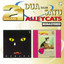2 Dalam 1 Alleycats Kerana Suara Kekasih cover