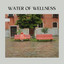 Water of Wellness cover