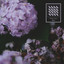 The Deathray Davies - Then You Met Me