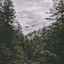 Days God Gave (Instrumental) - Matt Hammitt