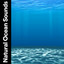 Natural Ocean Sounds cover