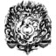 Kaus profile