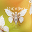 Paradiso - Extended Mix