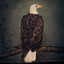 Clutch - 03 Book of Bad Decisions