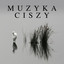Muzyka ciszy cover