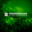 Sonny & Aleksander Walmann - United (2026)