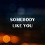 Somebody Like You - John Brazell