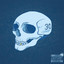 30 Below cover