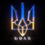 Воля cover