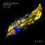 Collide - Extended