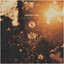 Golden Hour - Lindsey Ray